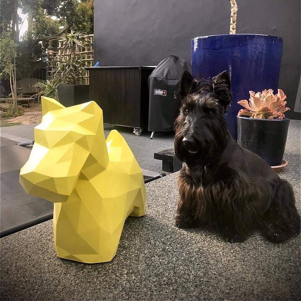 Real dog 4